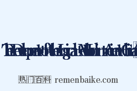 The+Development+of+the+Logical+Method+in+Ancient+China组词是什么意思的图片